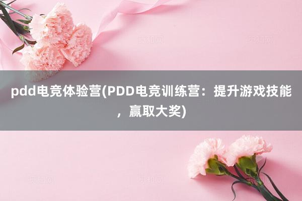 pdd电竞体验营(PDD电竞训练营：提升游戏技能，赢取大奖)