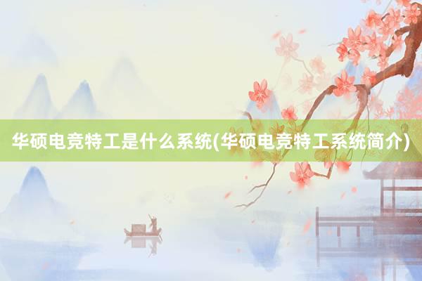 华硕电竞特工是什么系统(华硕电竞特工系统简介)