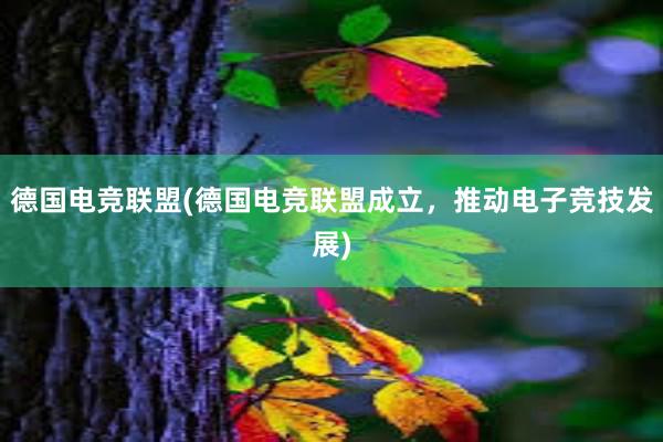 德国电竞联盟(德国电竞联盟成立，推动电子竞技发展)