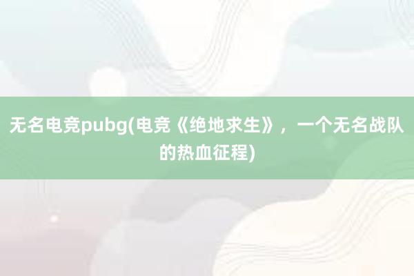 无名电竞pubg(电竞《绝地求生》，一个无名战队的热血征程)