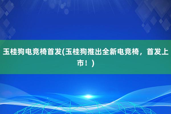 玉桂狗电竞椅首发(玉桂狗推出全新电竞椅，首发上市！)