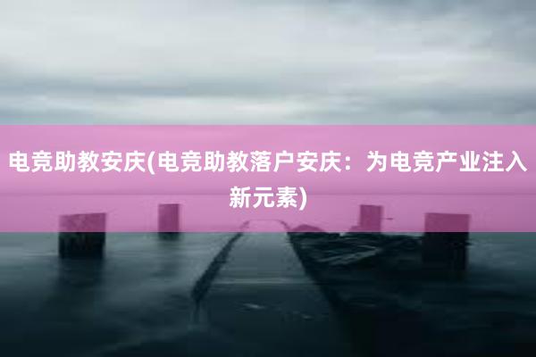 电竞助教安庆(电竞助教落户安庆：为电竞产业注入新元素)