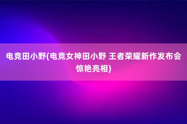 电竞田小野(电竞女神田小野 王者荣耀新作发布会惊艳亮相)