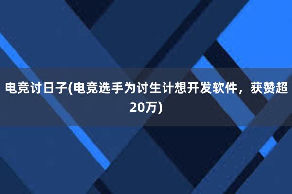 电竞讨日子(电竞选手为讨生计想开发软件，获赞超20万)