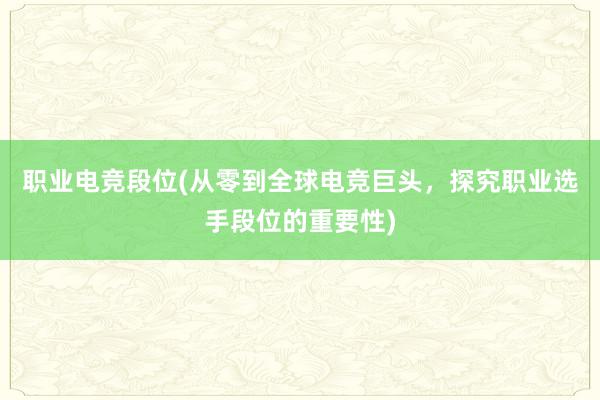 职业电竞段位(从零到全球电竞巨头，探究职业选手段位的重要性)