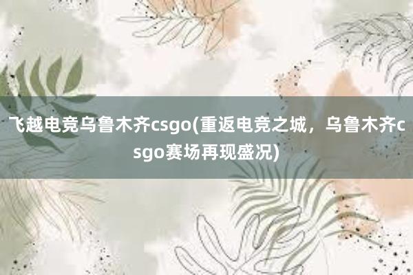 飞越电竞乌鲁木齐csgo(重返电竞之城，乌鲁木齐csgo赛场再现盛况)