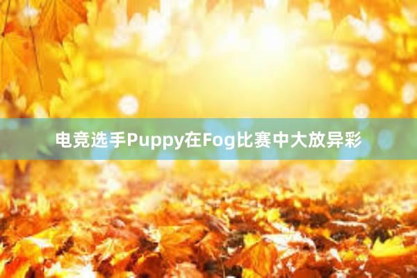 电竞选手Puppy在Fog比赛中大放异彩