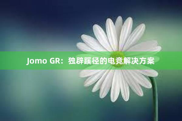 Jomo GR：独辟蹊径的电竞解决方案