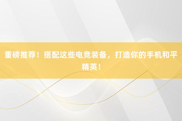 重磅推荐！搭配这些电竞装备，打造你的手机和平精英！