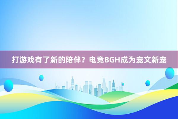 打游戏有了新的陪伴？电竞BGH成为宠文新宠