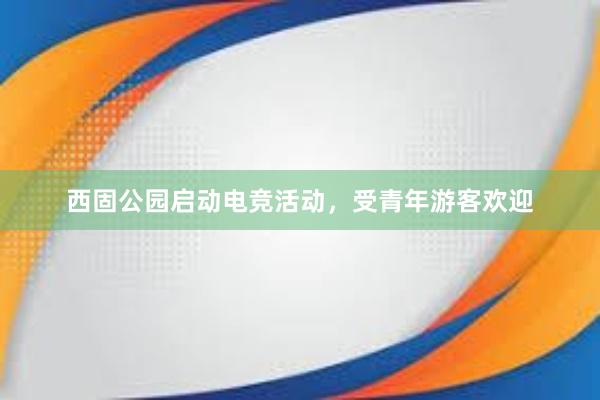 西固公园启动电竞活动，受青年游客欢迎