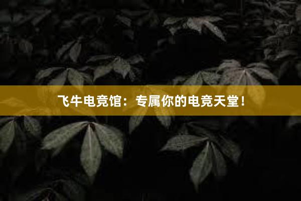 飞牛电竞馆：专属你的电竞天堂！